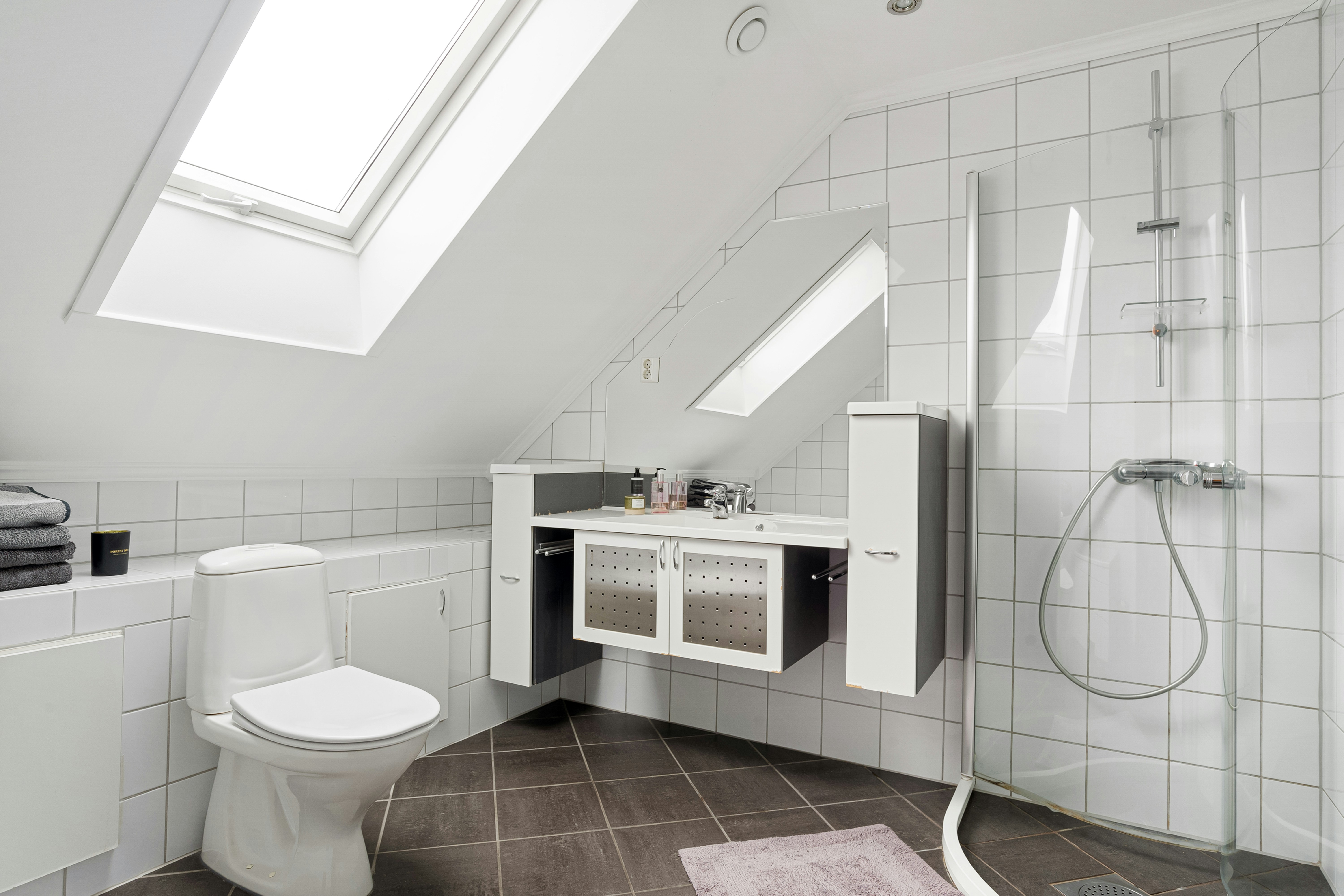 Bathroom Skylight Cleaning