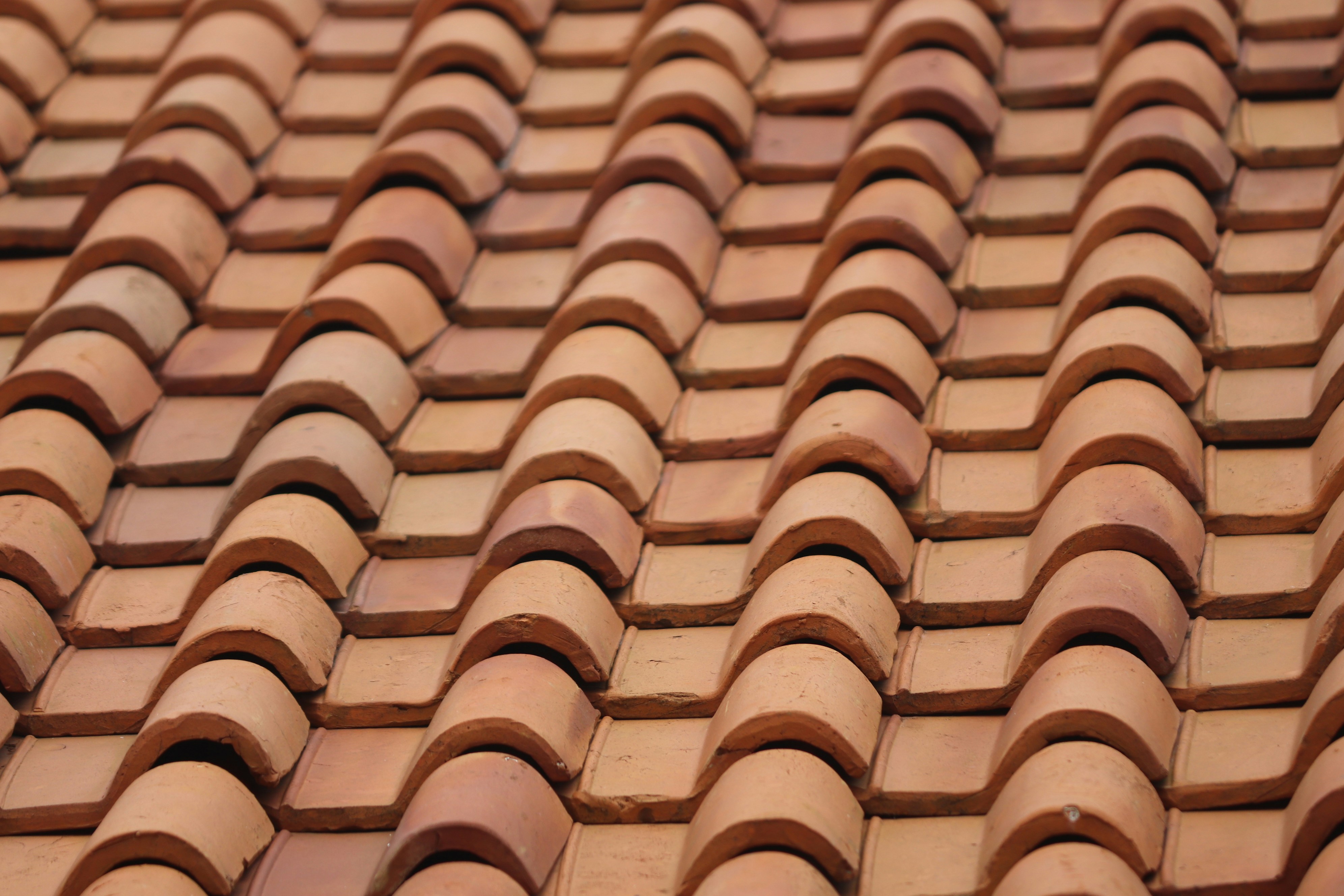 Clay Tile Roof Cleaning